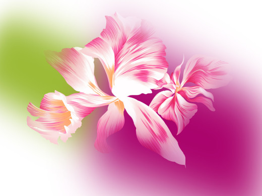 417141 (a): :1600x1200